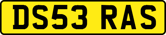 DS53RAS