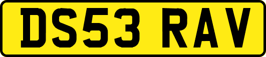 DS53RAV