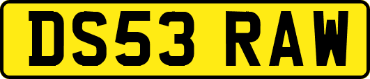 DS53RAW