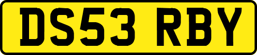DS53RBY