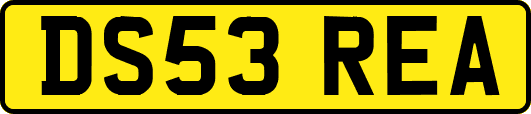 DS53REA