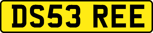 DS53REE