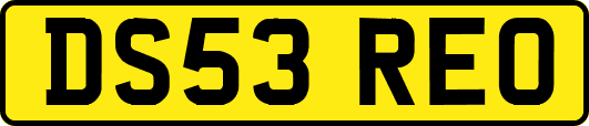 DS53REO