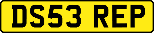 DS53REP