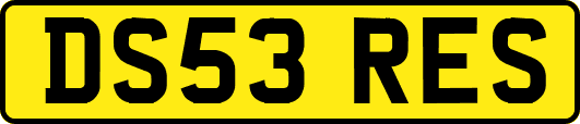 DS53RES