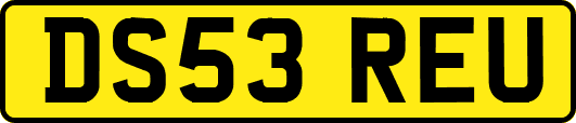 DS53REU