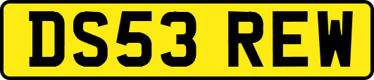 DS53REW