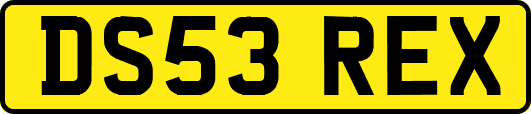 DS53REX