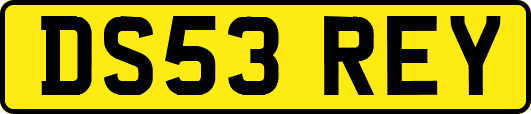 DS53REY