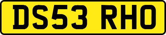 DS53RHO