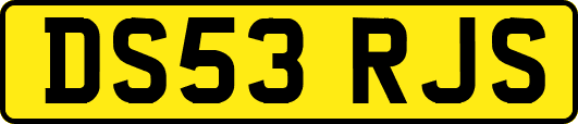 DS53RJS