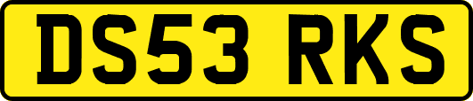 DS53RKS