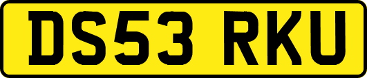 DS53RKU