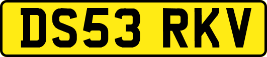DS53RKV