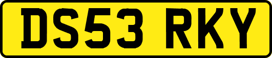 DS53RKY