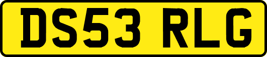 DS53RLG