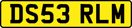 DS53RLM