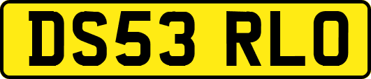 DS53RLO