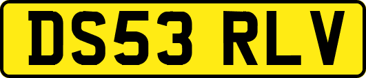 DS53RLV