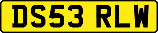 DS53RLW