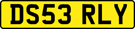 DS53RLY