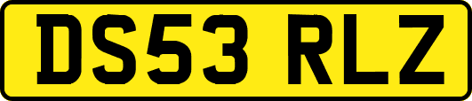 DS53RLZ