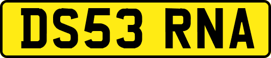 DS53RNA