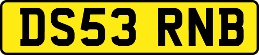 DS53RNB