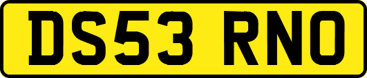DS53RNO