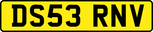 DS53RNV