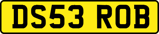 DS53ROB