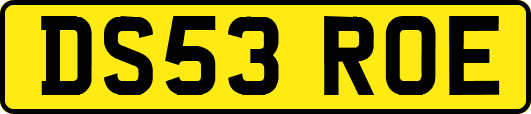 DS53ROE