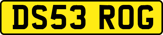 DS53ROG