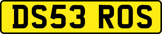 DS53ROS