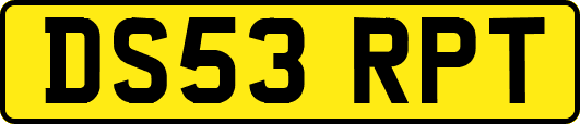 DS53RPT