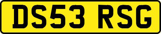 DS53RSG