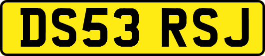 DS53RSJ