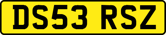 DS53RSZ