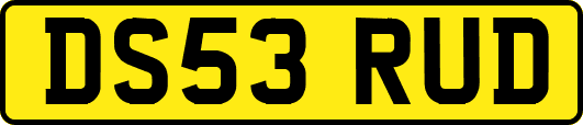 DS53RUD
