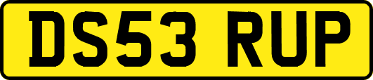DS53RUP