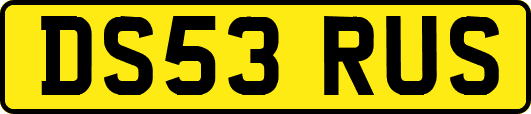 DS53RUS
