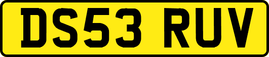 DS53RUV
