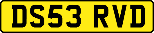 DS53RVD