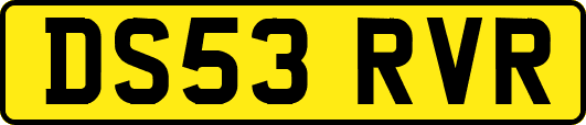 DS53RVR