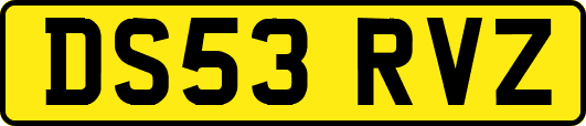DS53RVZ