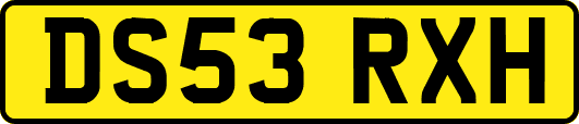 DS53RXH