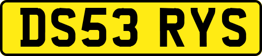 DS53RYS