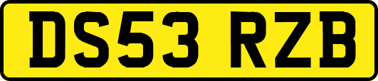 DS53RZB