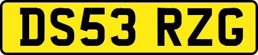 DS53RZG