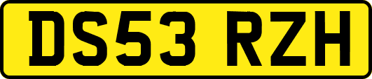 DS53RZH
